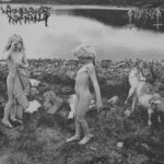 Horna (FIN) / Woods Of Infinity (SWE) – Juuret / Lidande Upphöjt Till Två 7'' EP