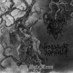 Arkha Sva (JPN) / Woods Of Infinity (SWE) – Old Ugly Trees 7'' EP