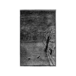 Saatkrähe (FRA) – L'Arbre Mort MC